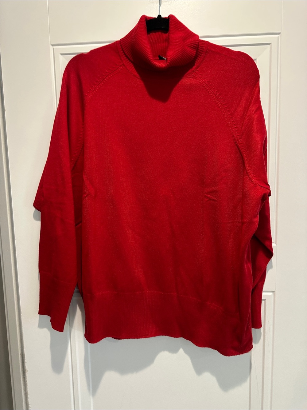 Lane Bryant Sweater